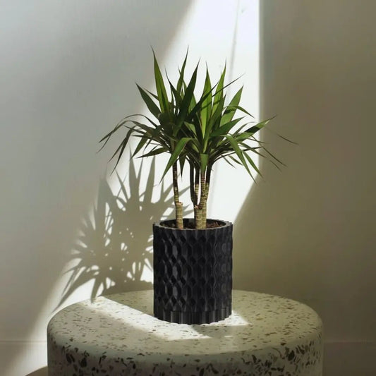 Maceta Rhon - DECO - Home & Soul - Macetas - Deco